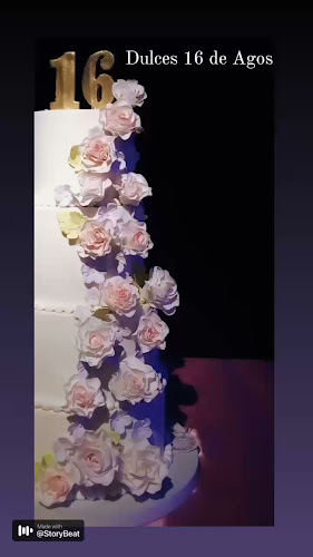 Comentarii opinii despre Manos en la Masa by Sofía Delgado