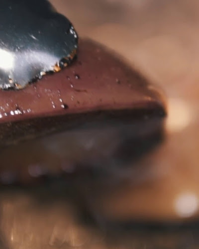 Heladería Cantabria - Gastronomía y hostelería