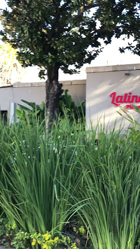 Pizza latina - Gastronomía y hostelería