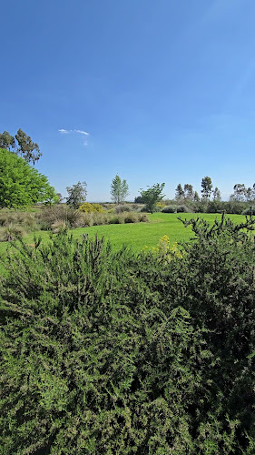 Pan y Oliva de Zuelo. - Gastronomía y hostelería