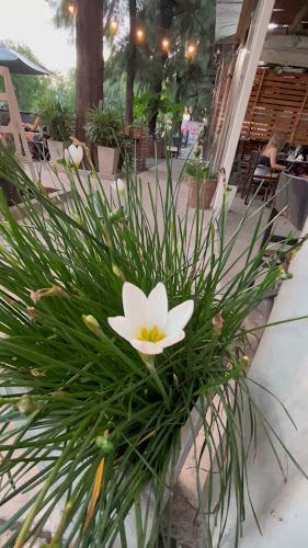 Opinii despre Petit Plaisir în Cdad. Jardin Lomas de Palomar - Gastronomía y hostelería