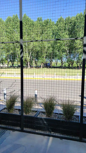 Comentarii opinii despre Damiana