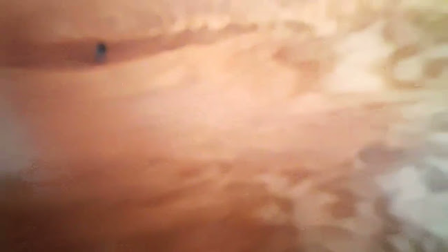 Opinii despre The Burger Factory Olavarría în Mar del Plata - Gastronomía y hostelería