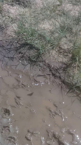 Panaderia Don Gabriel