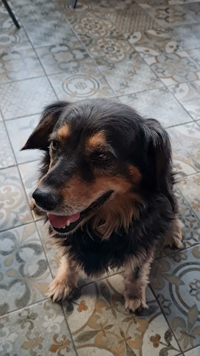 Ricardo Rojas, Manuel de Falla y, 5000 Córdoba