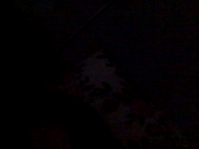 Panadería San Miguel - Gastronomía y hostelería