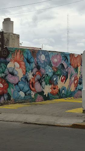 Chacabuco 1053, D5700HOK D5700HOK, San Luis