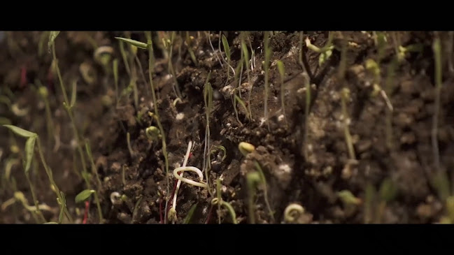 Humberto 1º 497 Centro Norte, X5000FAI Córdoba