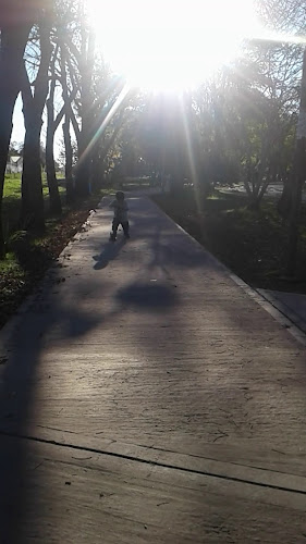 Panadería y Confitería 'Matheu' - Gastronomía y hostelería