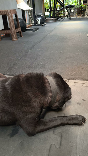 Comentarii opinii despre Mostaza