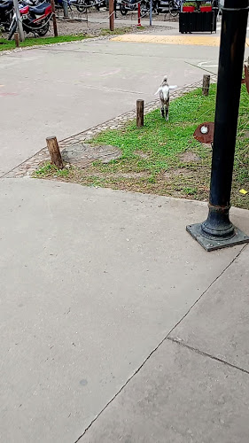 Comentarii opinii despre El Meson