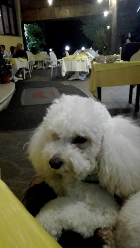 Comentarii opinii despre Le Colombe Da Tiziano