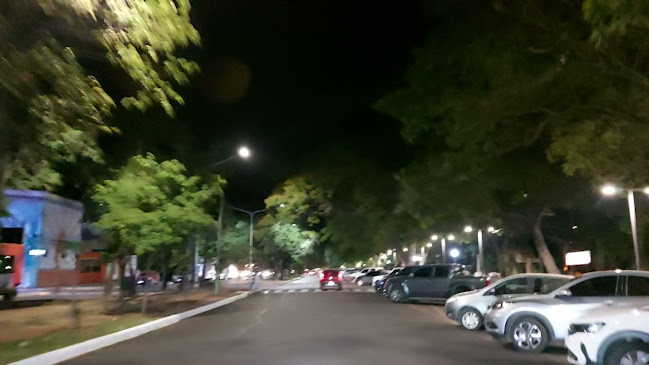 Comentarii opinii despre El Mirador del Paraná - Parilla Restaurant