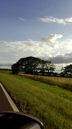 Comentarii opinii despre Panadería Jorge