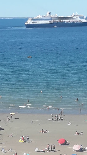 Pizzeria - Delivery de Pizzas - Lizard Cafe - Puerto Madryn