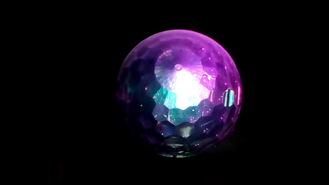 Opinii despre Never mind în Mar del Plata - Gastronomía y hostelería