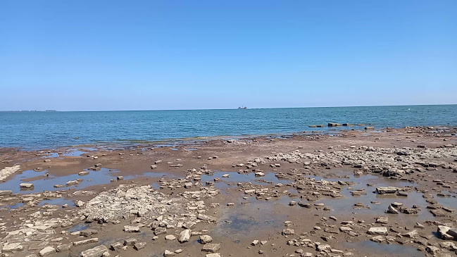 Opinii despre Argentina în Rafaela - Gastronomía y hostelería