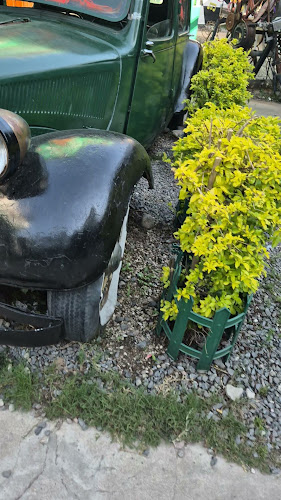 Opinii despre 𝒱𝒾𝒹𝑜́𝓃 – ʙᴀʀ [Cerro de las Rosas] în Córdoba - Gastronomía y hostelería