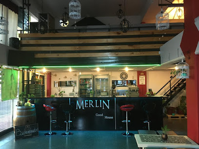 MERLIN Multiespacio