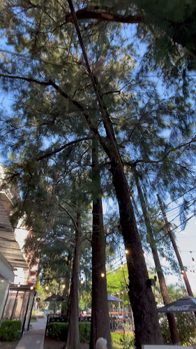 Rosetti 6273, B1684 Cdad. Jardin Lomas de Palomar, Provincia de Buenos Aires