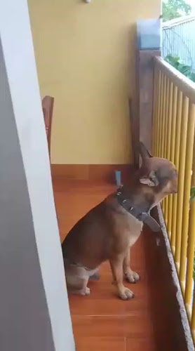 Papas Locas - Gastronomía y hostelería