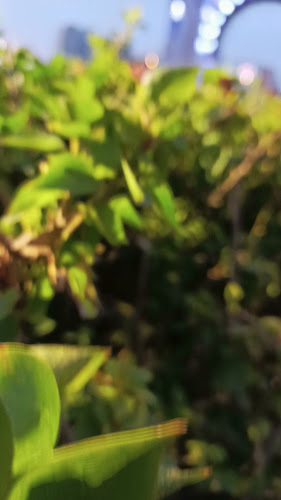 Opinii despre Arnold's Train în San Miguel de Tucumán - Gastronomía y hostelería