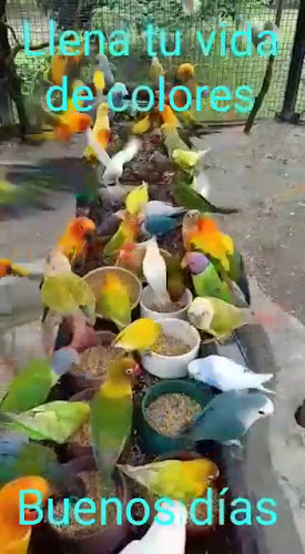 Opinii despre La Pizza De La Nona ! în Buenos Aires - Gastronomía y hostelería