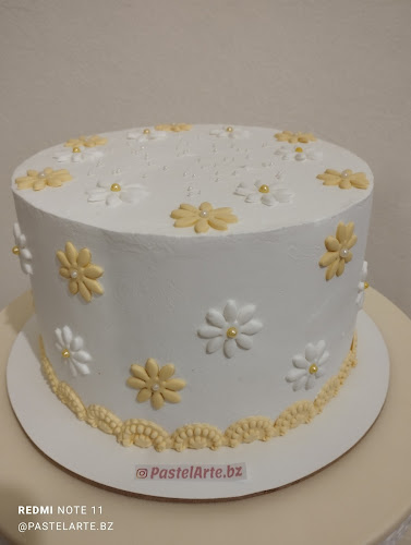 Comentarii opinii despre Pastelarte.bz