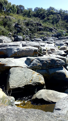 RIO Helados - Echesortu - Rosario