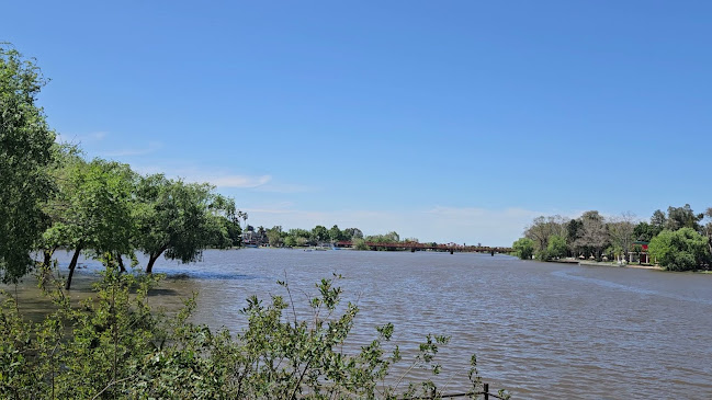 Terraza Cafeteria - Restaurante - Gastronomía y hostelería