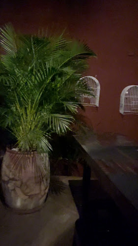 Comentarii opinii despre Nómades Sushi Bar & Restaurante Gourmet