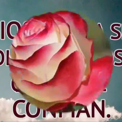 Opinii despre Club Martino Padua Directorio în GKP - Gastronomía y hostelería