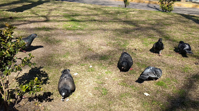 Klauss Restó Bar - Gastronomía y hostelería