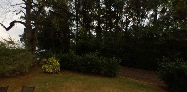 Opinii despre Camellias Golf Campos de Te în Oberá - Gastronomía y hostelería