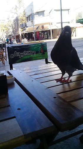 Opinii despre Clapton Café y Vinos în San Juan - Gastronomía y hostelería