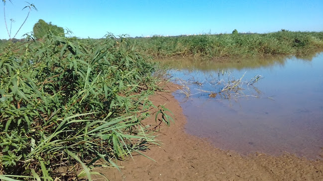 Chipacitos del Molina