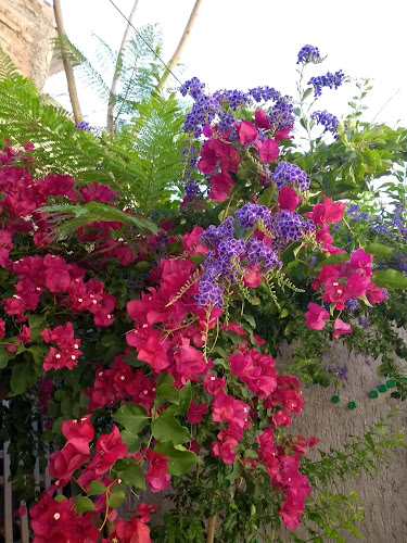Tostadero de Cafe Puerto Rico - HTH