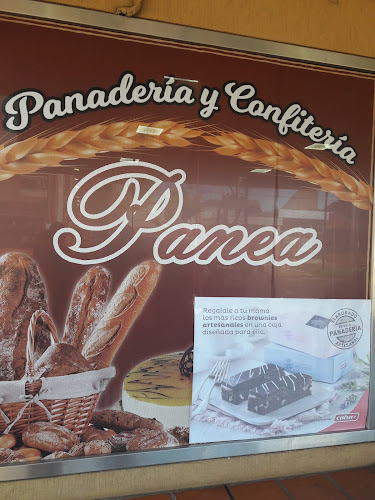 PANADERIA Y CONFITERIA PANEA