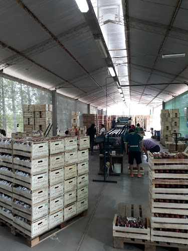 Opinii despre Finca La Promesa în San Martín - Gastronomía y hostelería