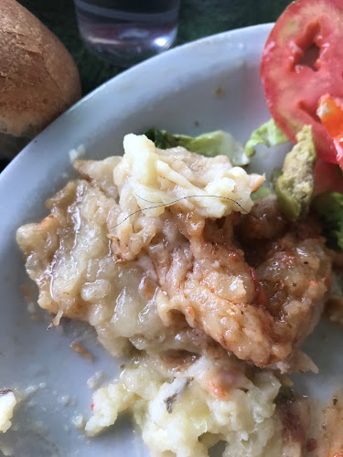 Comentarii opinii despre Parada 20