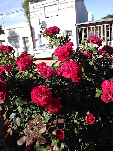 Concordia 1648-1550, E3269 Gualeguaychú, Entre Ríos