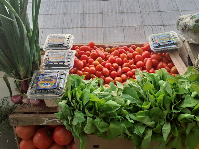 Comentarii opinii despre Verduleria y Pollería Eliana