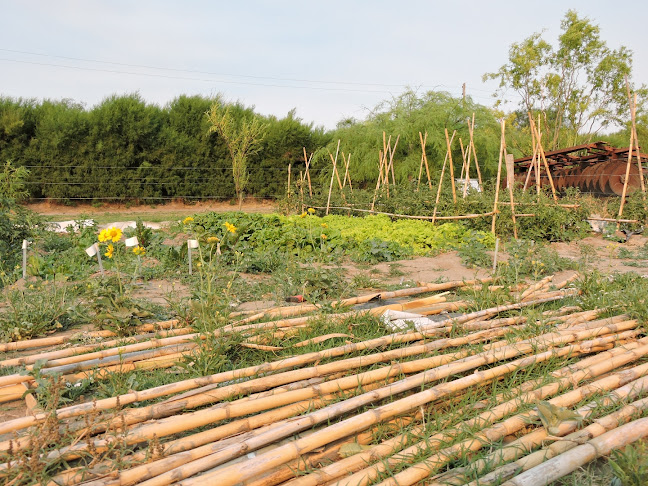 Comentarii opinii despre criadero de cerdos La Bendición