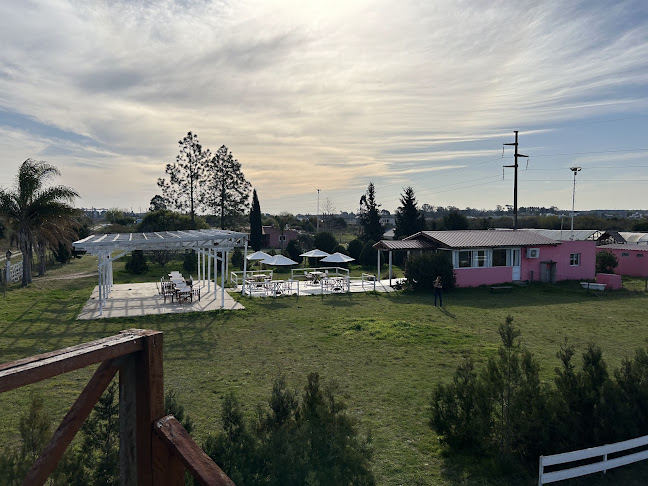 Comentarii opinii despre Flora- Vivero y Casa de Té