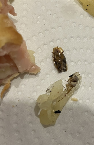 Comentarii opinii despre La Recova Pizzas