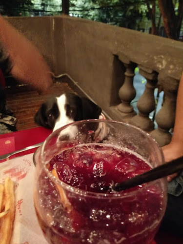 Cervelar - Ramos Mejía