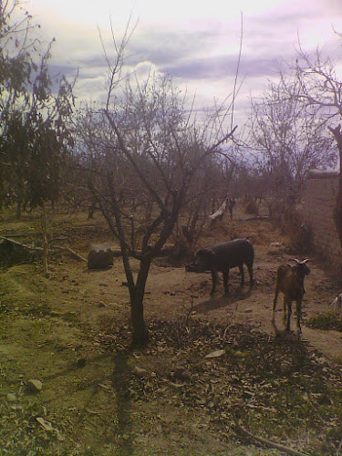 Opinii despre BAR LA ANTENA în La Rioja - Gastronomía y hostelería
