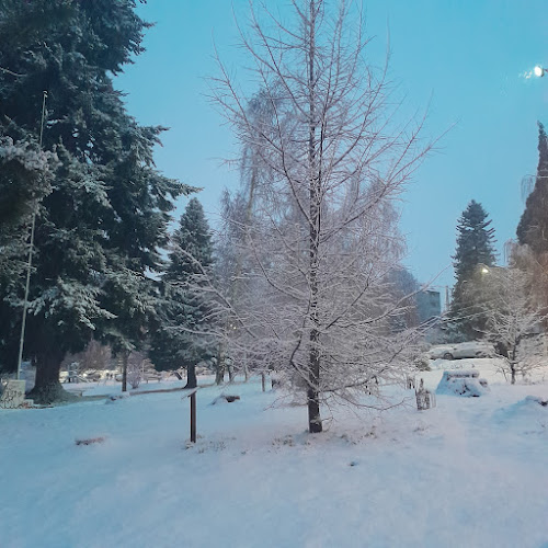 Restaurante Las Pendientes - Neuquén