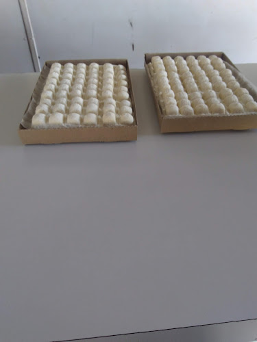 Opinii despre Los Turquitos în Santa Fe de la Vera Cruz - Gastronomía y hostelería