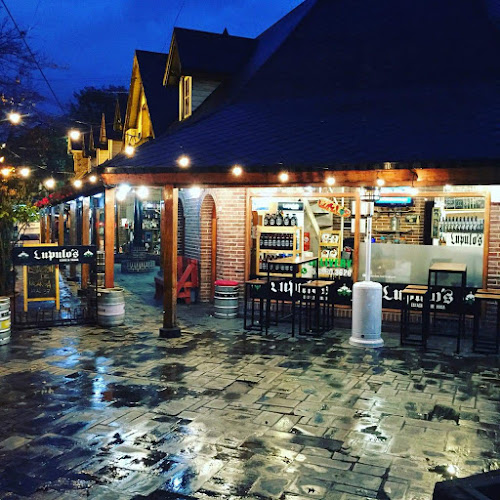 Comentarii opinii despre Lupulo's